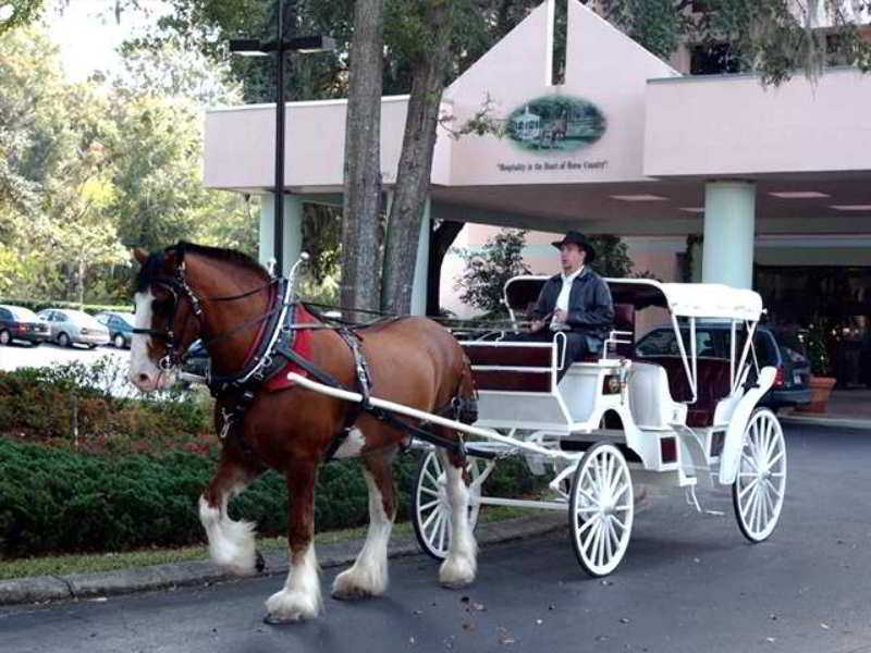 Hilton Ocala Hotel Facilities photo